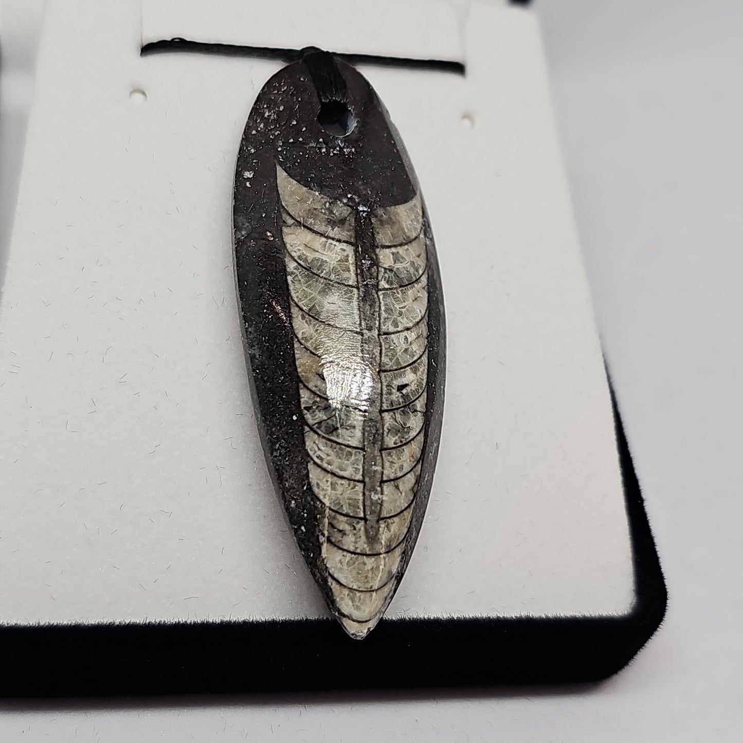 Orthoceras fossil pendant - small - Rivendell Shop