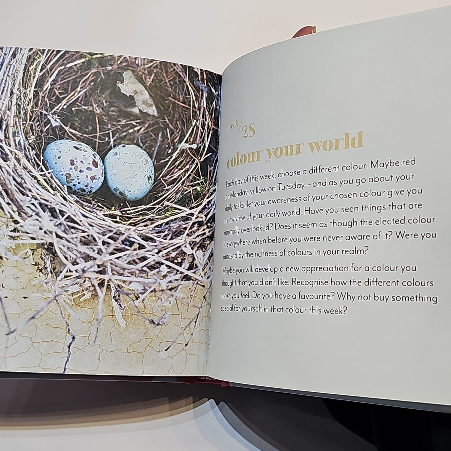 52 weeks a journey of self discovery - Rivendell Shop