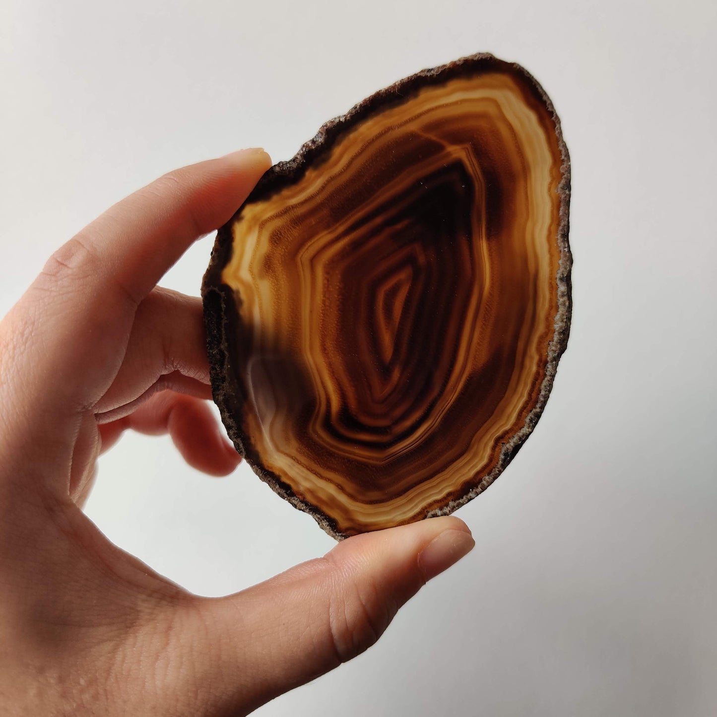 Natural Agate Slice - Dark - Rivendell Shop
