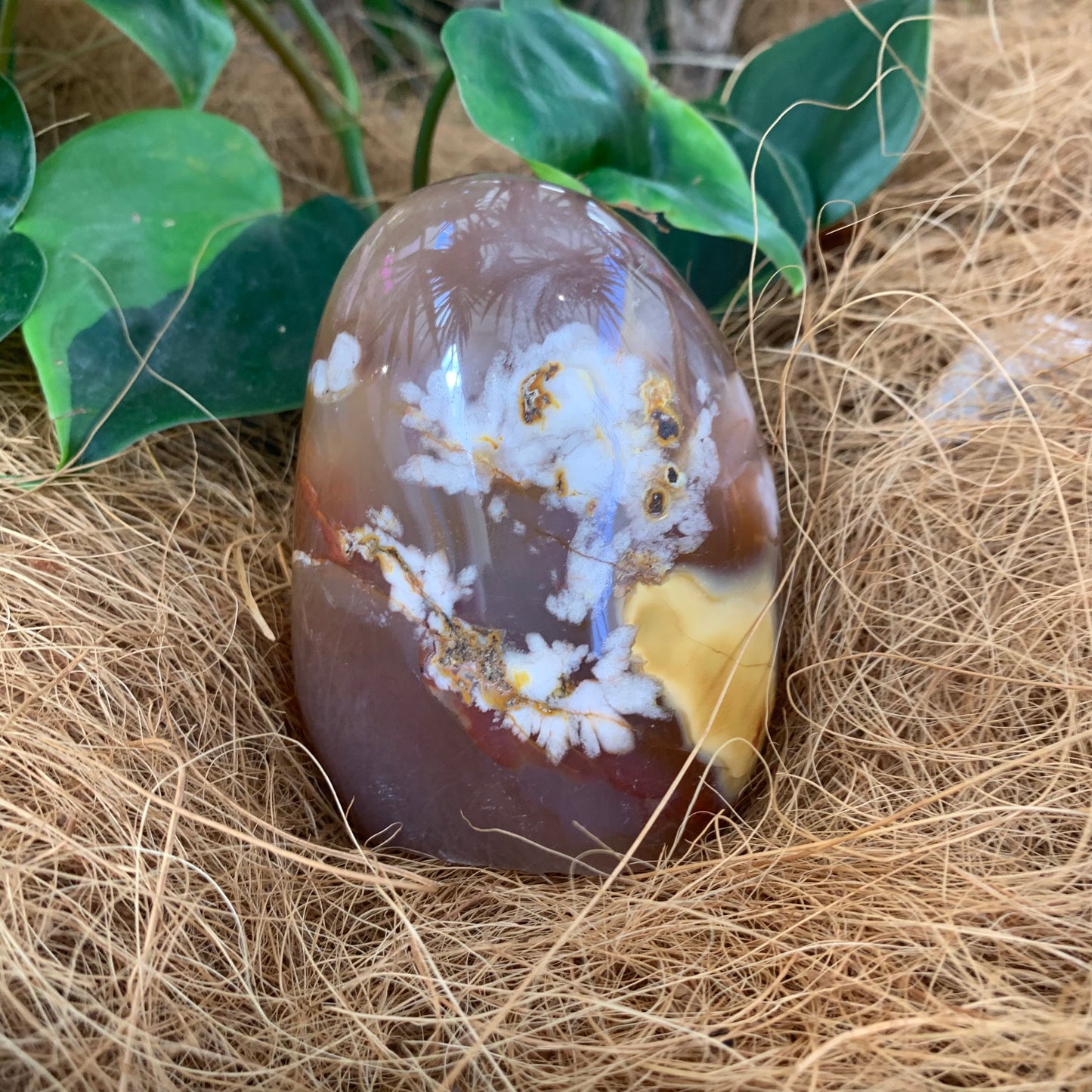 Flower Agate Freeform - Rivendell Shop