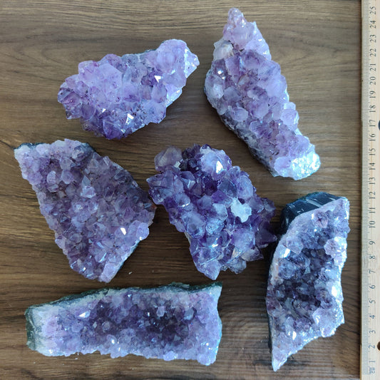 Six natural amethyst crystal clusters laid on a wooden table beside a ruler, their purple points catching the light