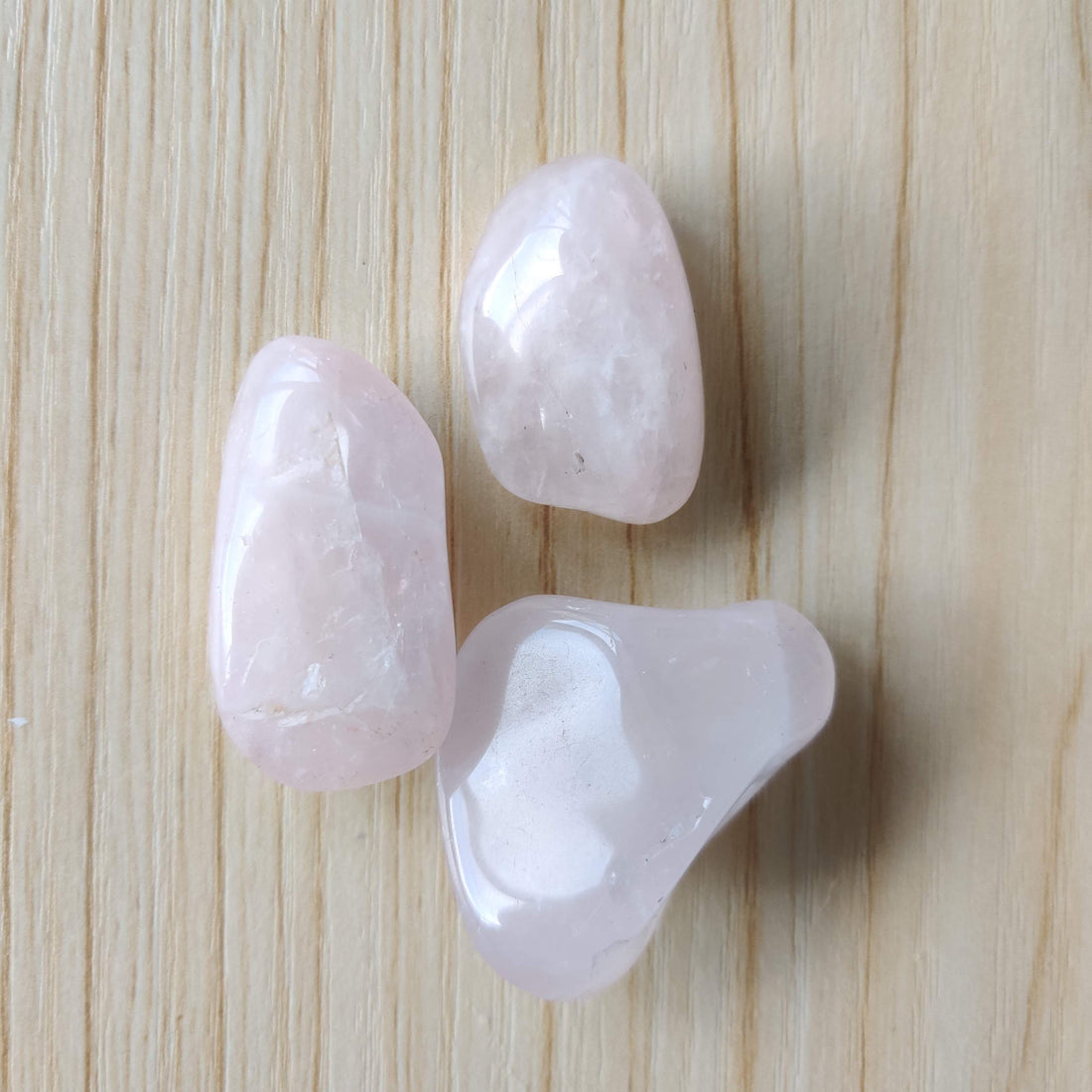 Three pale pink rose quartz tumbled stones on light wood
