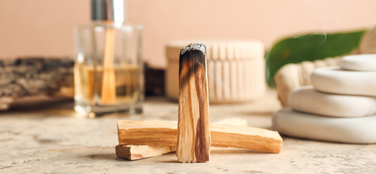 The Benefits of Palo Santo: A Natural Energy Cleanser