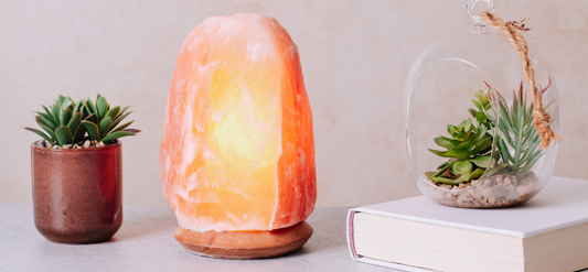 Glowing Himalayan salt lamp between two small succulents and a white book