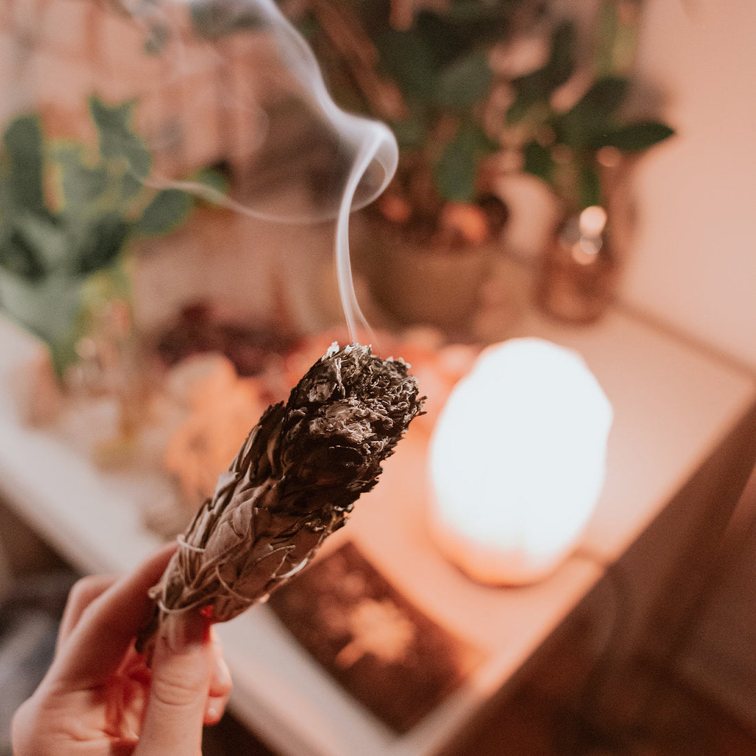 Hand holding a smouldering sage bundle beside a glowing salt lamp and green house plants