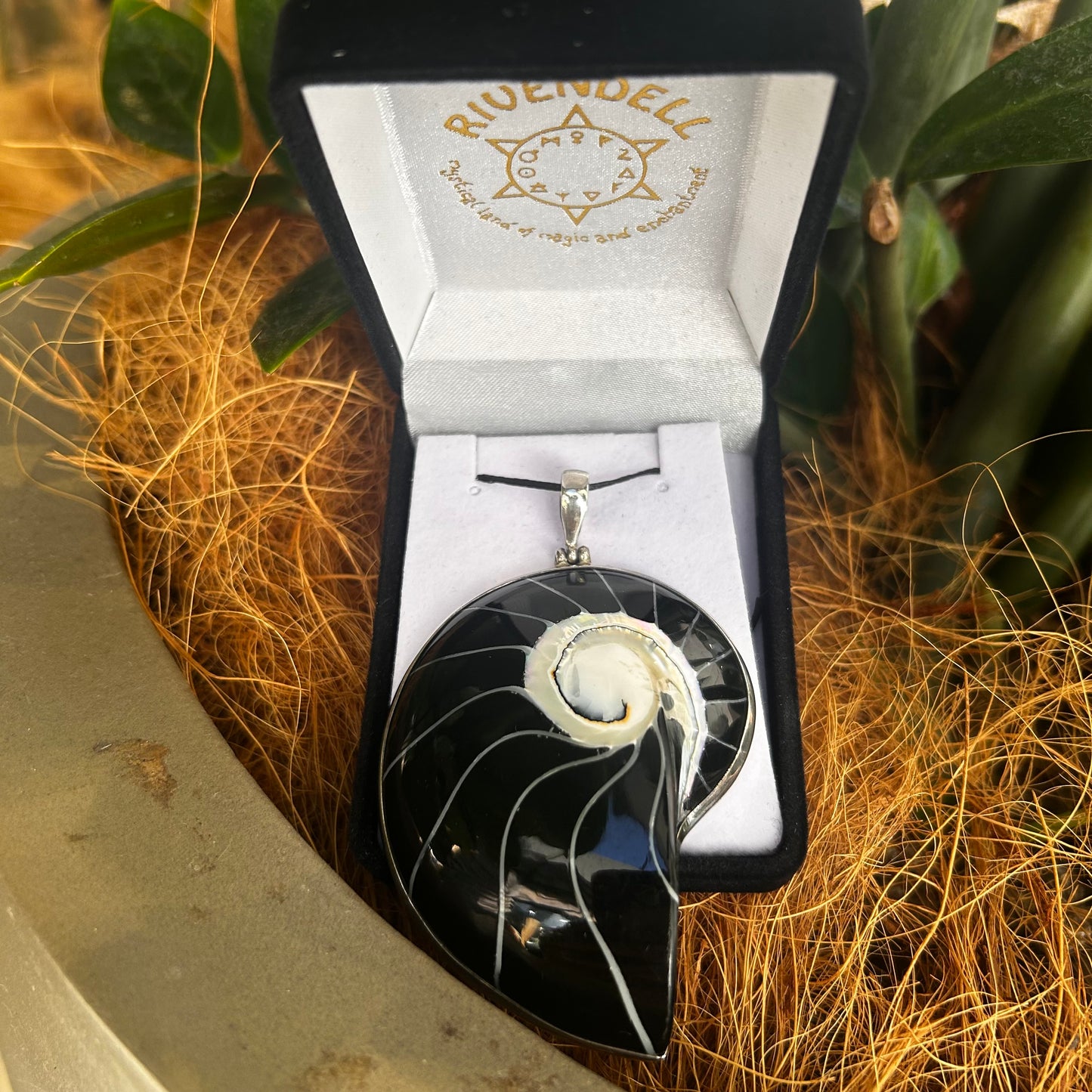 Black Shell Pendant - Rivendell Shop