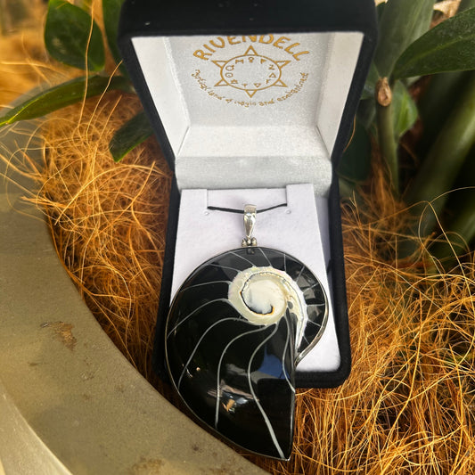Black Shell Pendant - Rivendell Shop