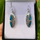 Paua Earrings - Rivendell Shop