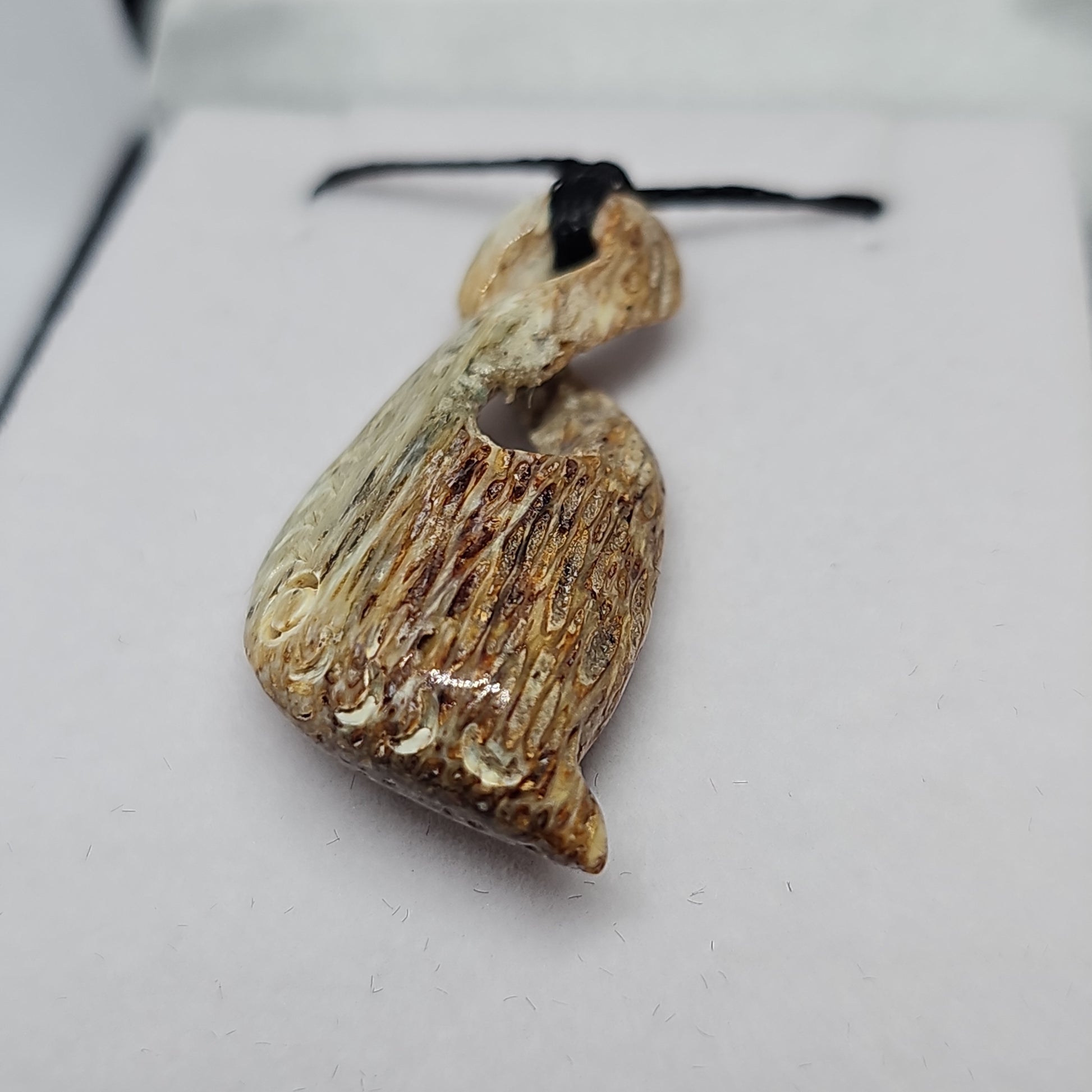 Whale bone - twist - Rivendell Shop