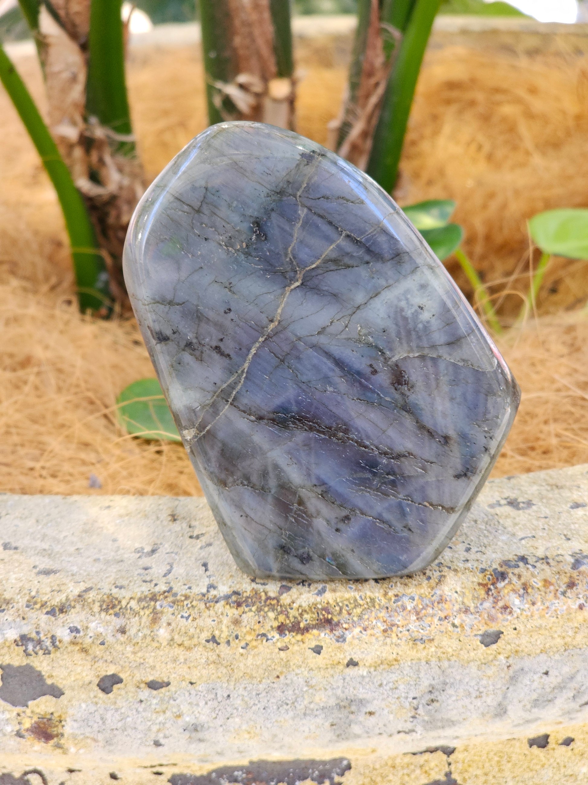 Labradorite freeform - Rivendell Shop