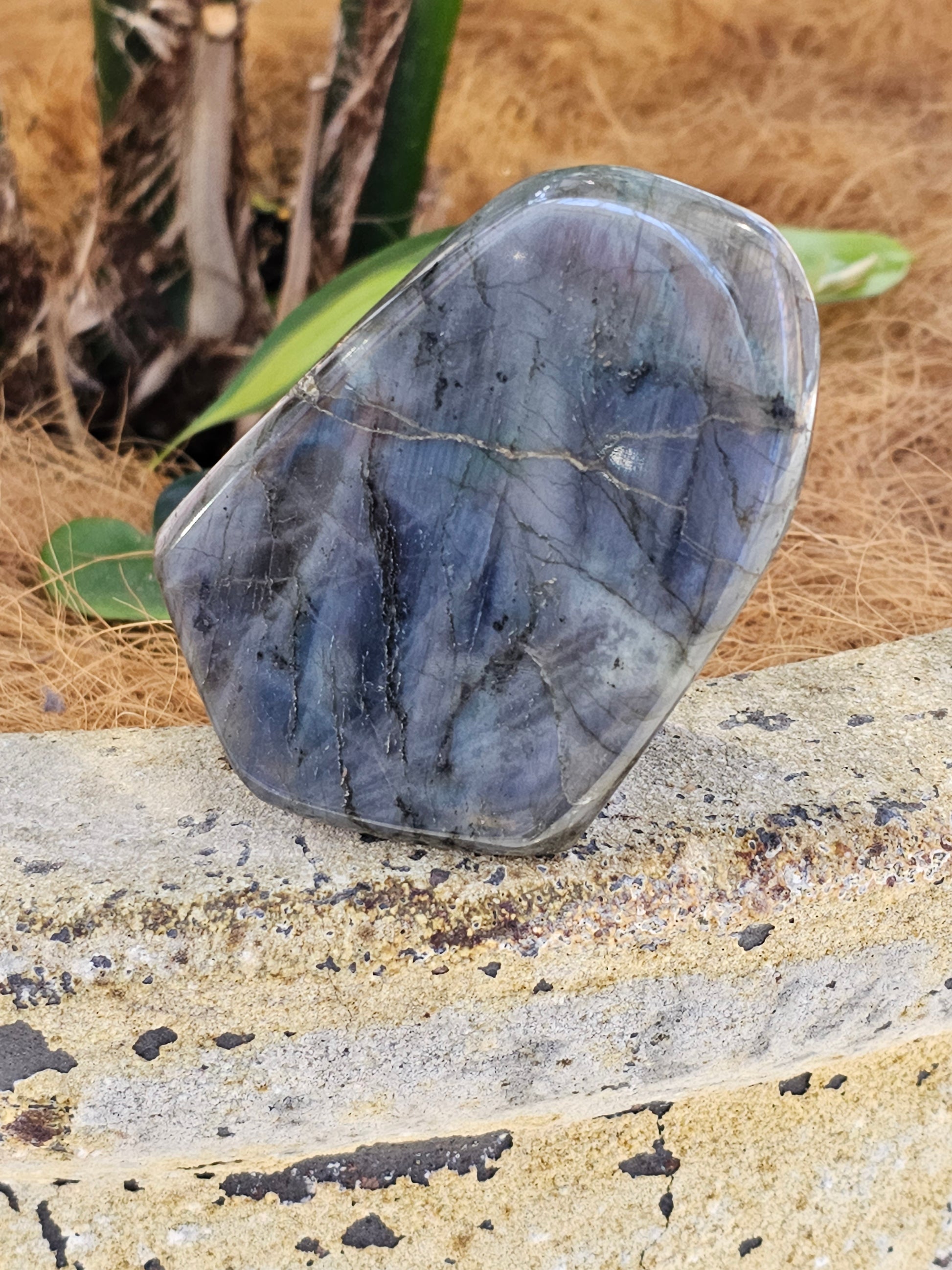 Labradorite freeform - Rivendell Shop