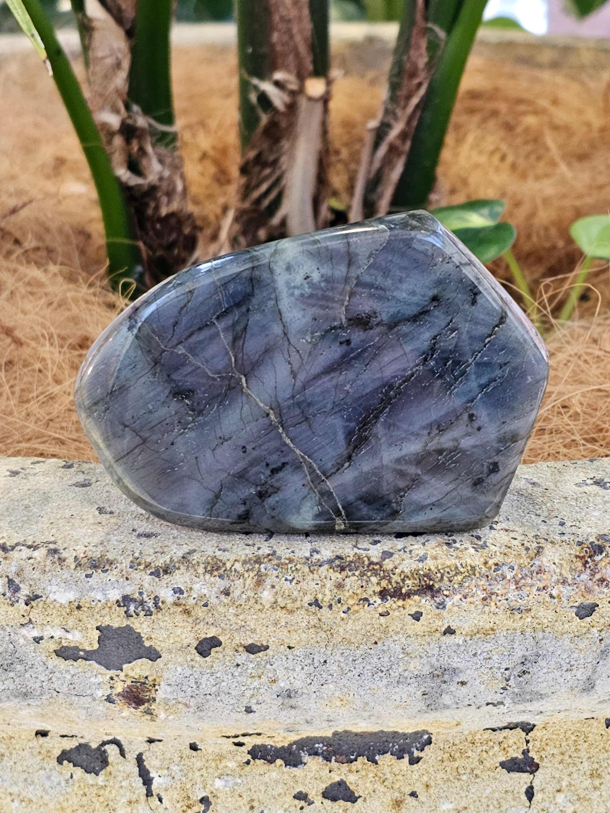 Labradorite freeform - Rivendell Shop