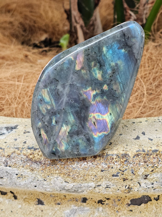 Labradorite freeform - Rivendell Shop