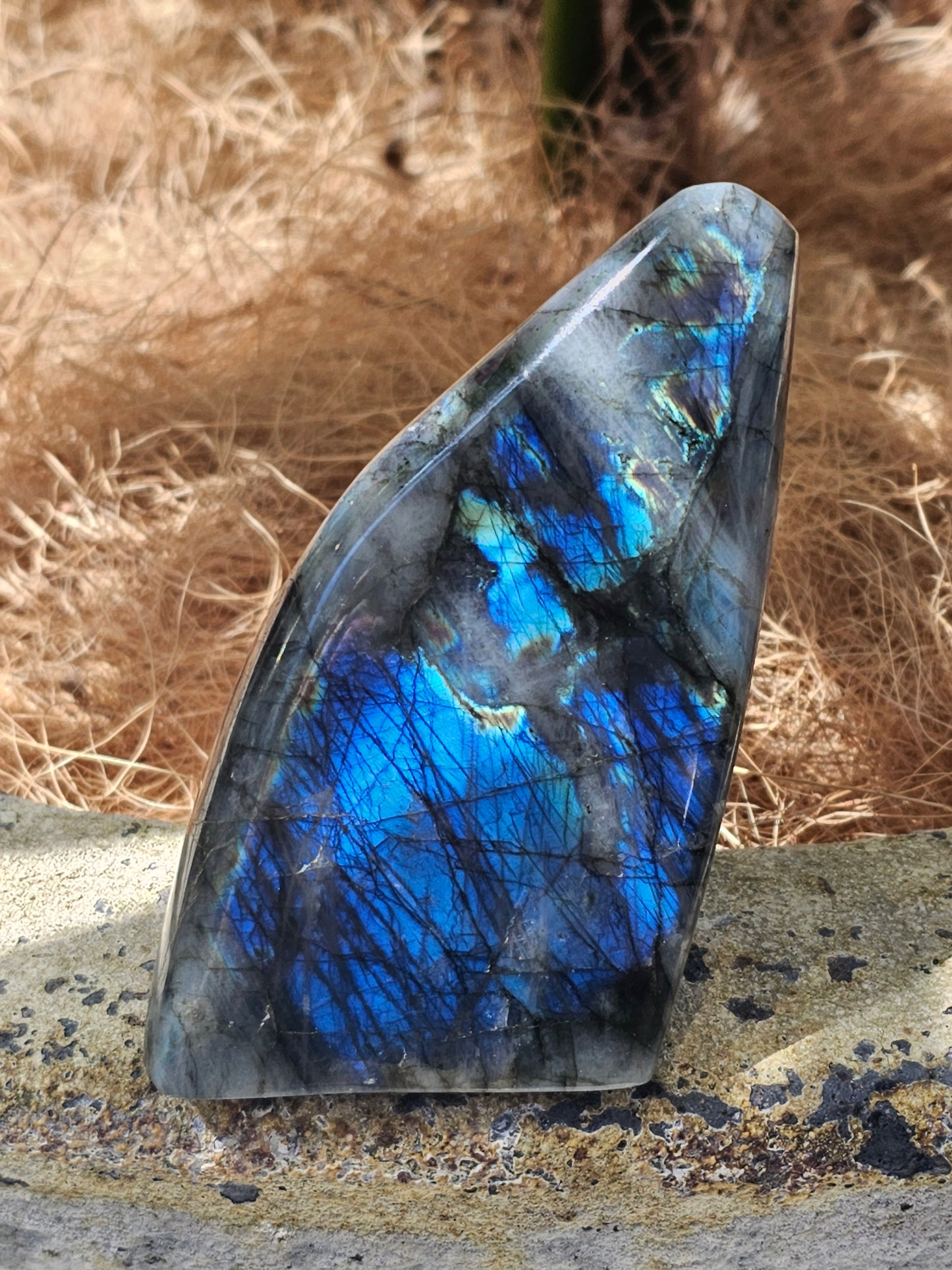 Labradorite Freeform - Rivendell Shop