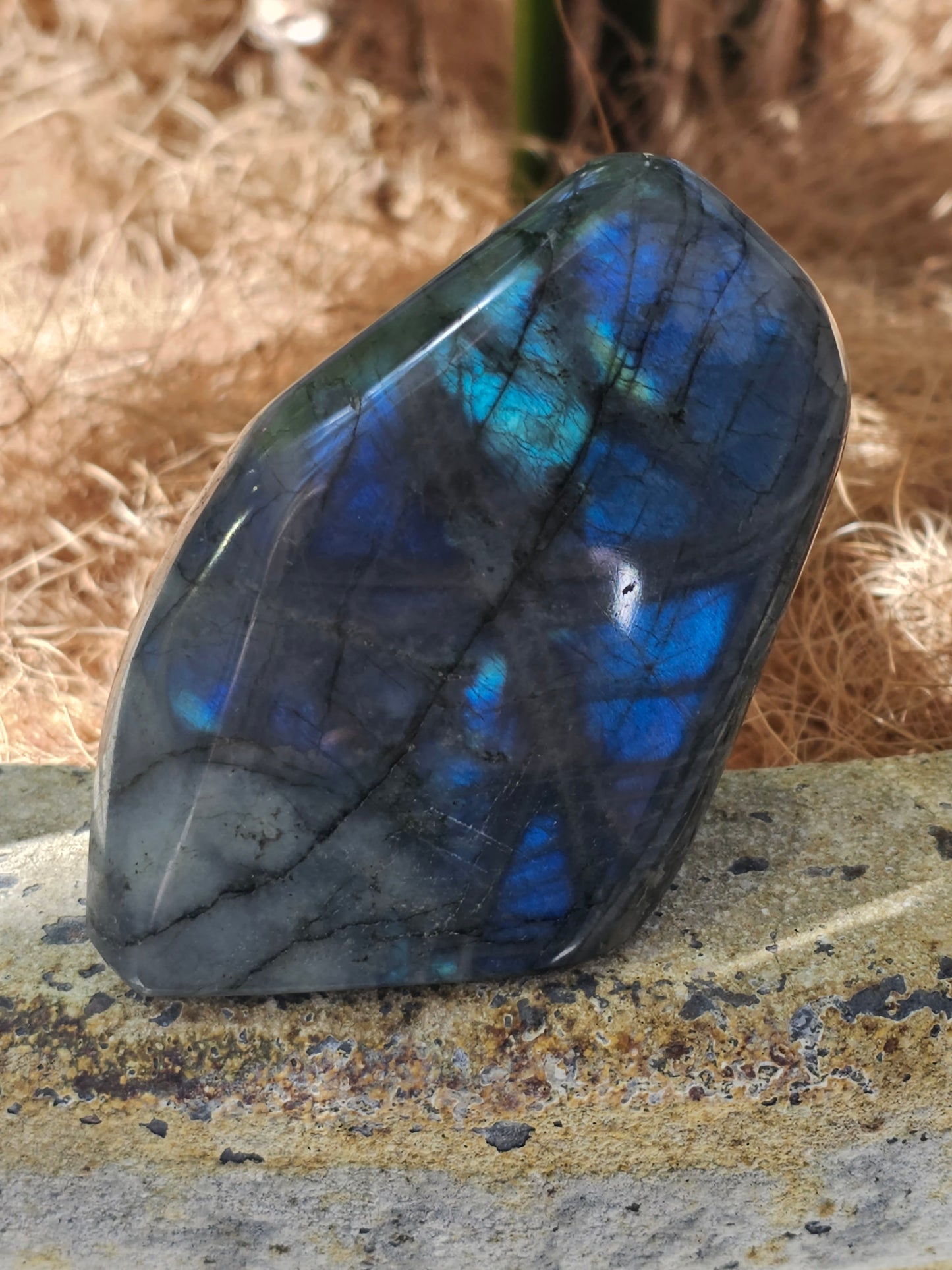 Labradorite Freeform - Rivendell Shop