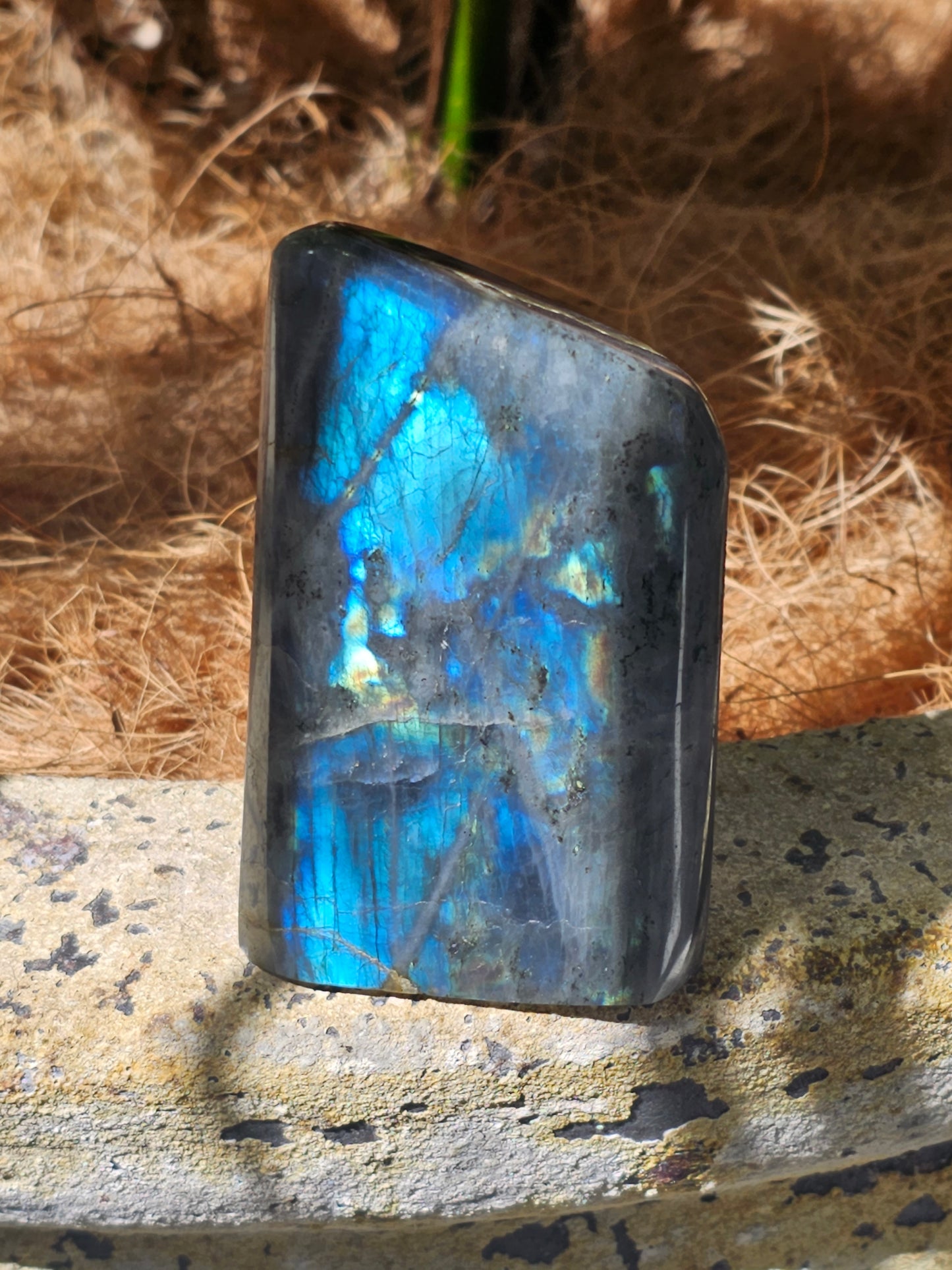 Labradorite Freeform - Rivendell Shop