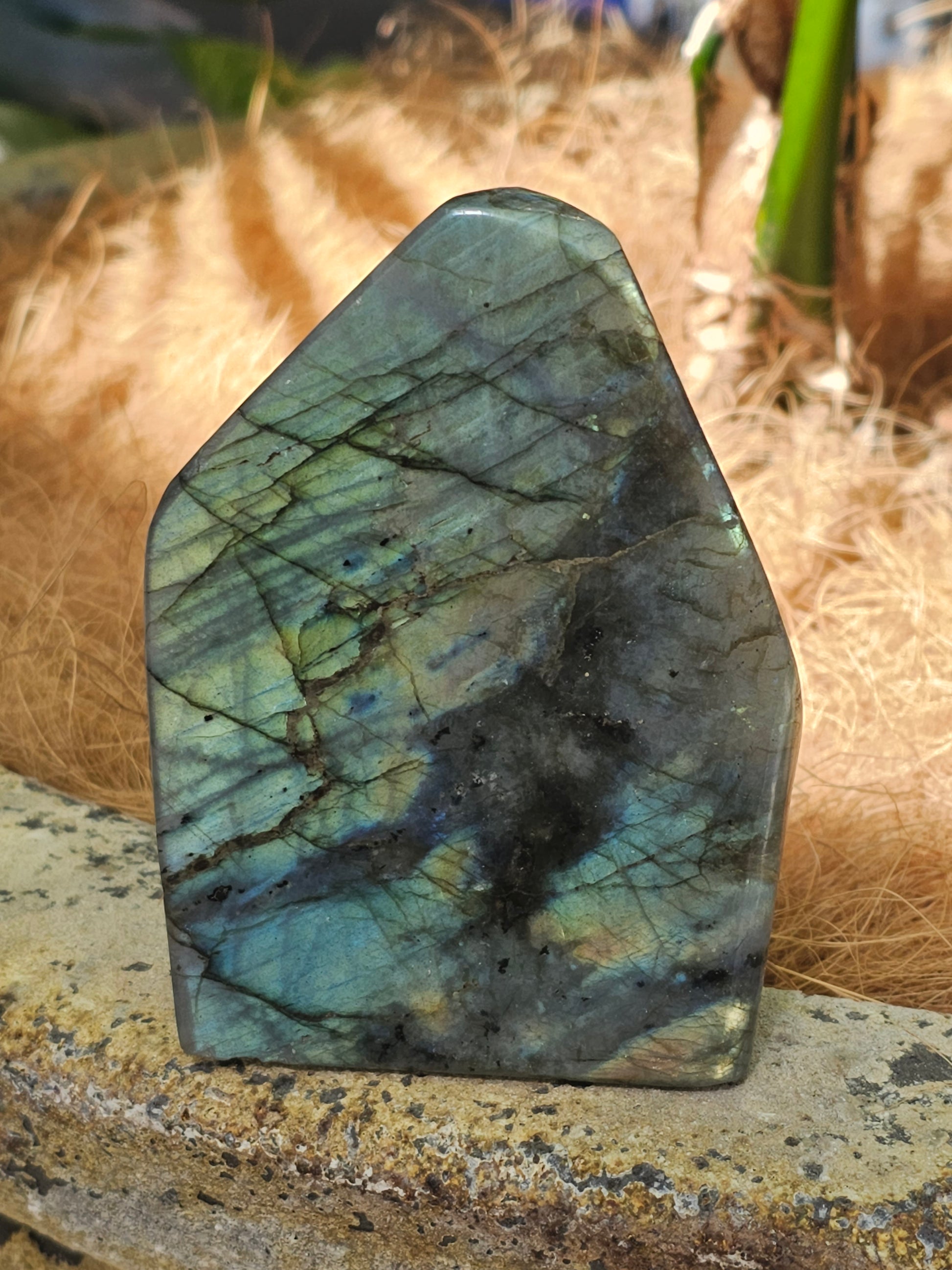 Labradorite Freeform - Rivendell Shop