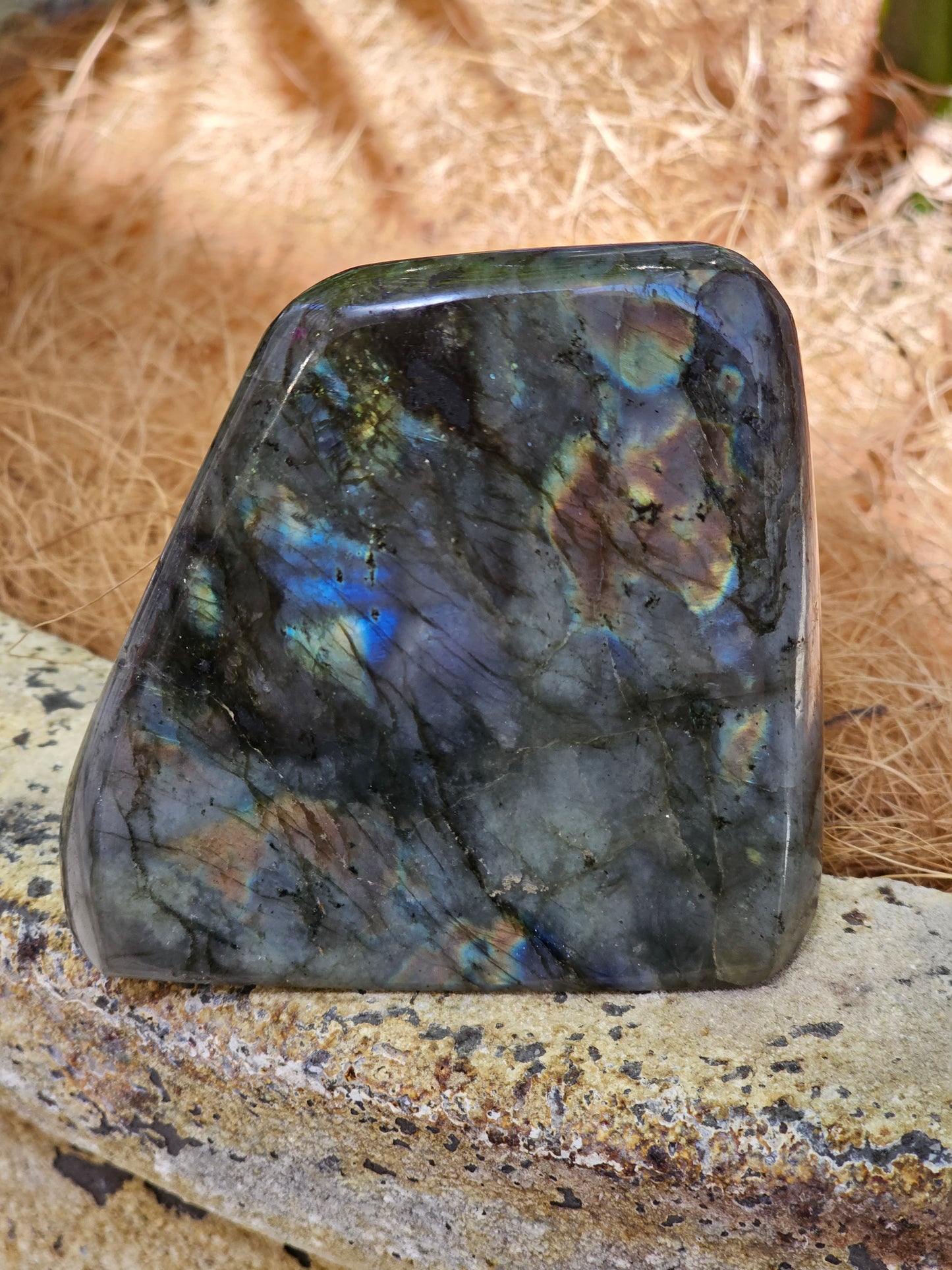 Labradorite Freeform - Rivendell Shop