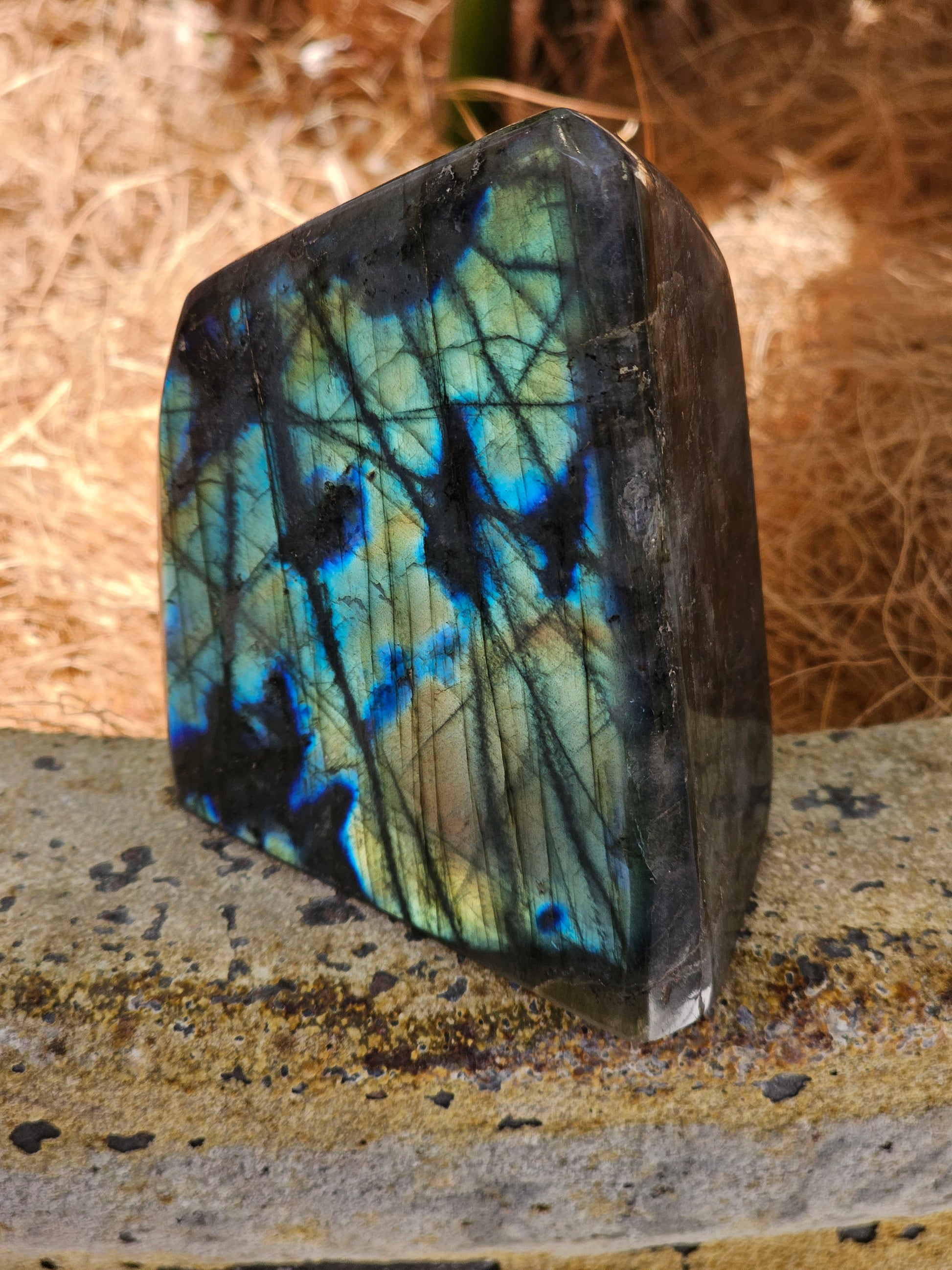 Labradorite Freeform - Rivendell Shop