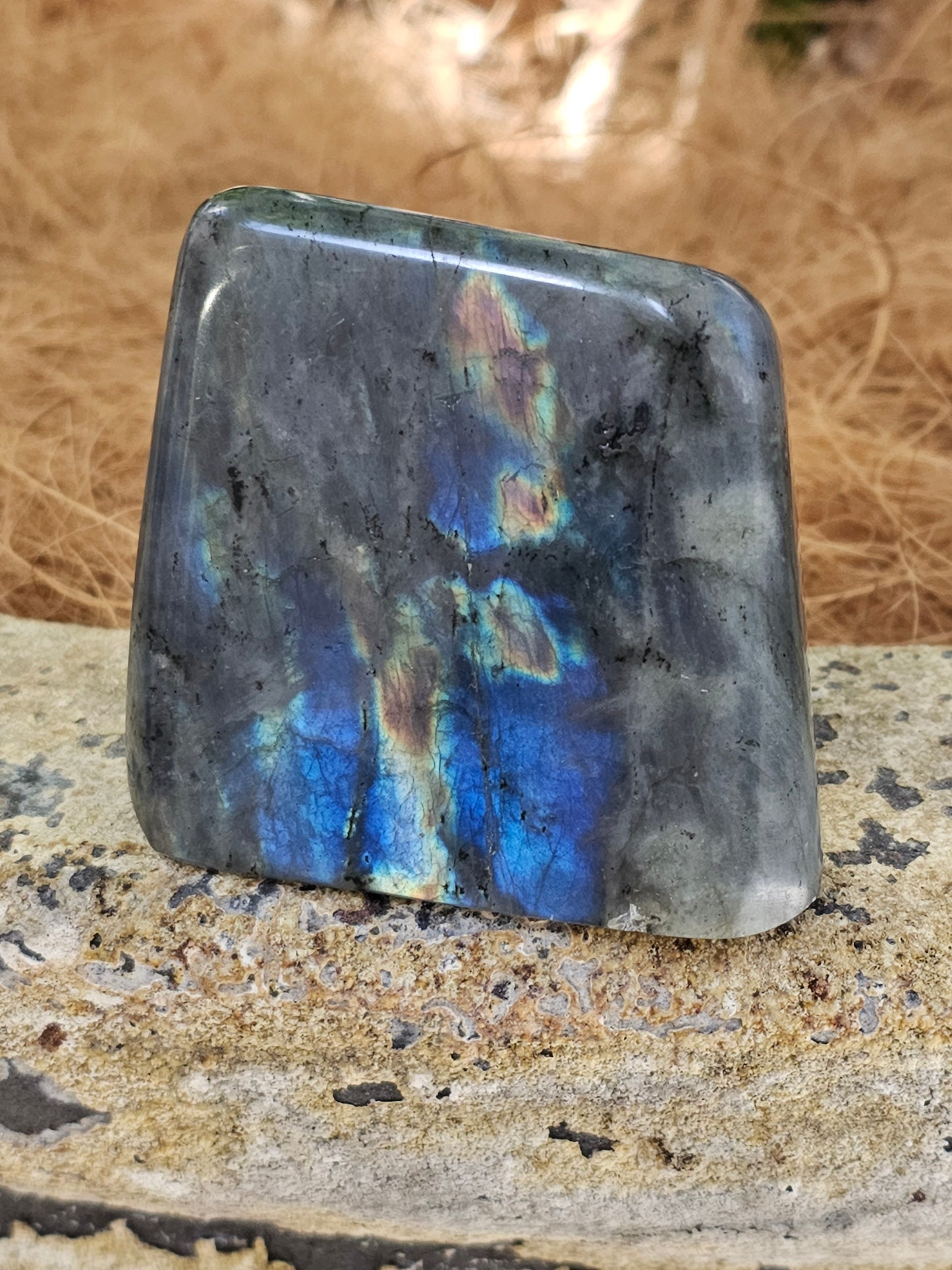 Labradorite Freeform - Rivendell Shop