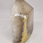 Agate Point - Rivendell Shop