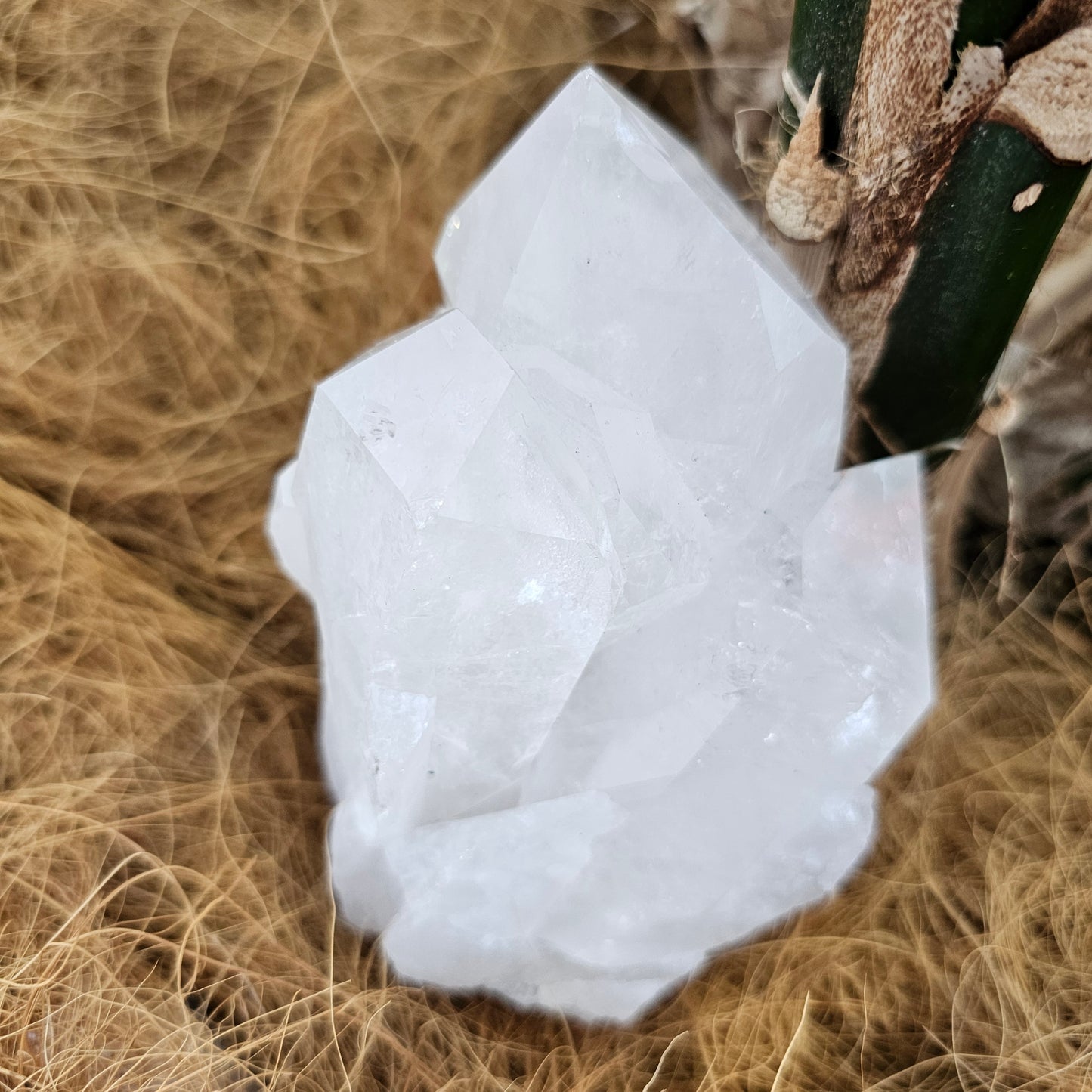 Clear quartz cluster