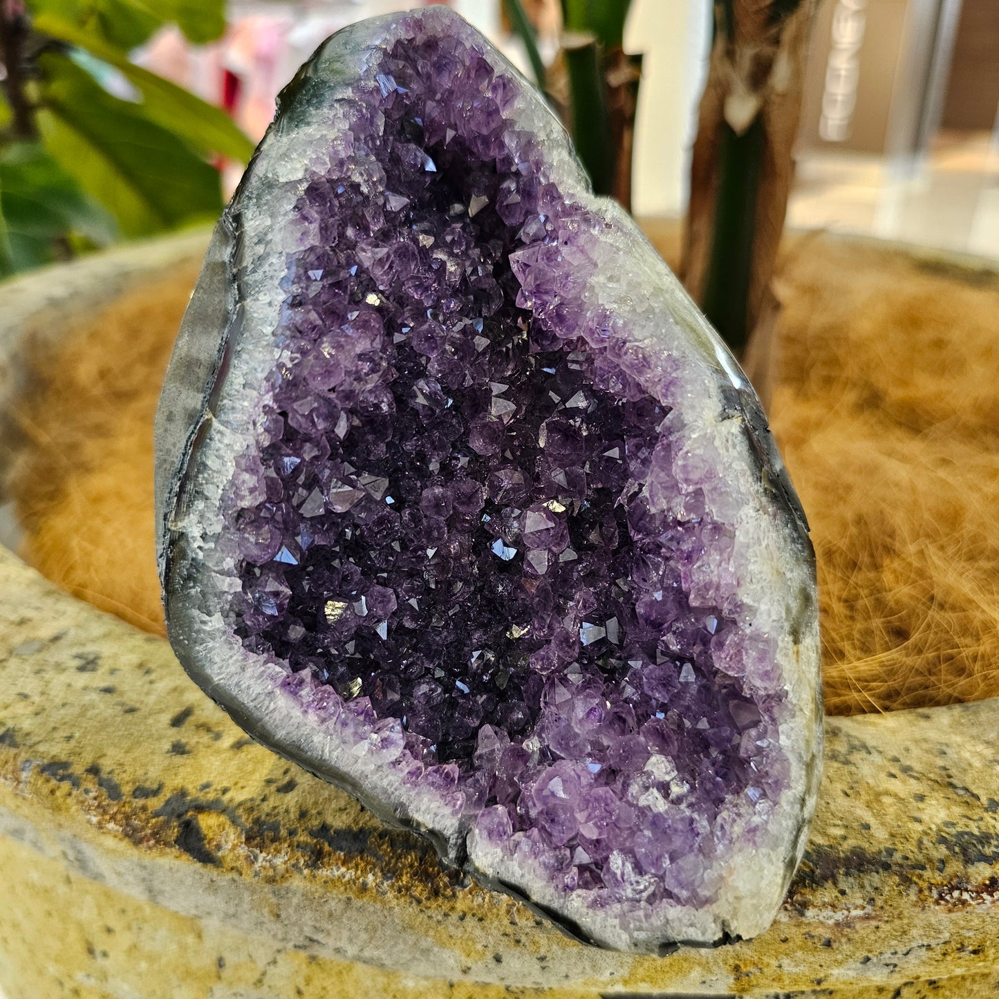 Amethyst Standing Cluster