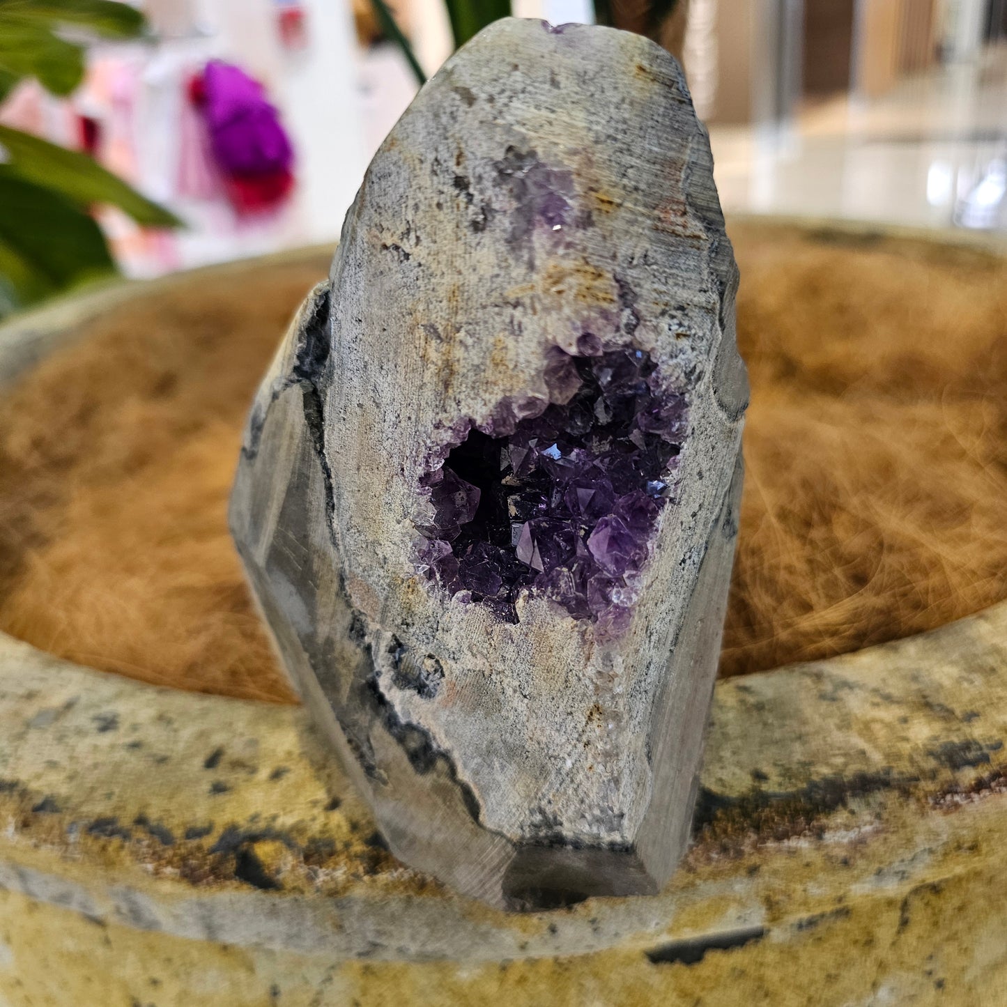 Amethyst Standing Cluster