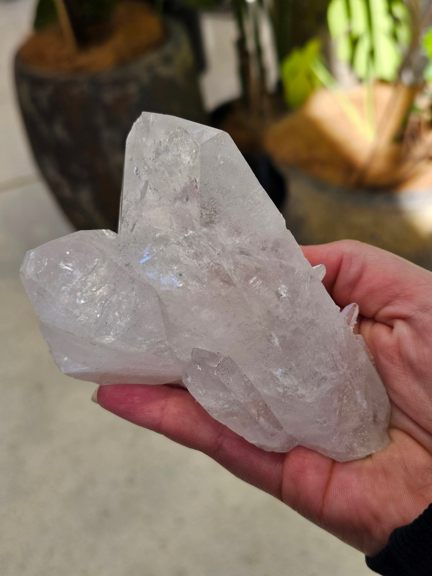 Clear Quartz Cluster