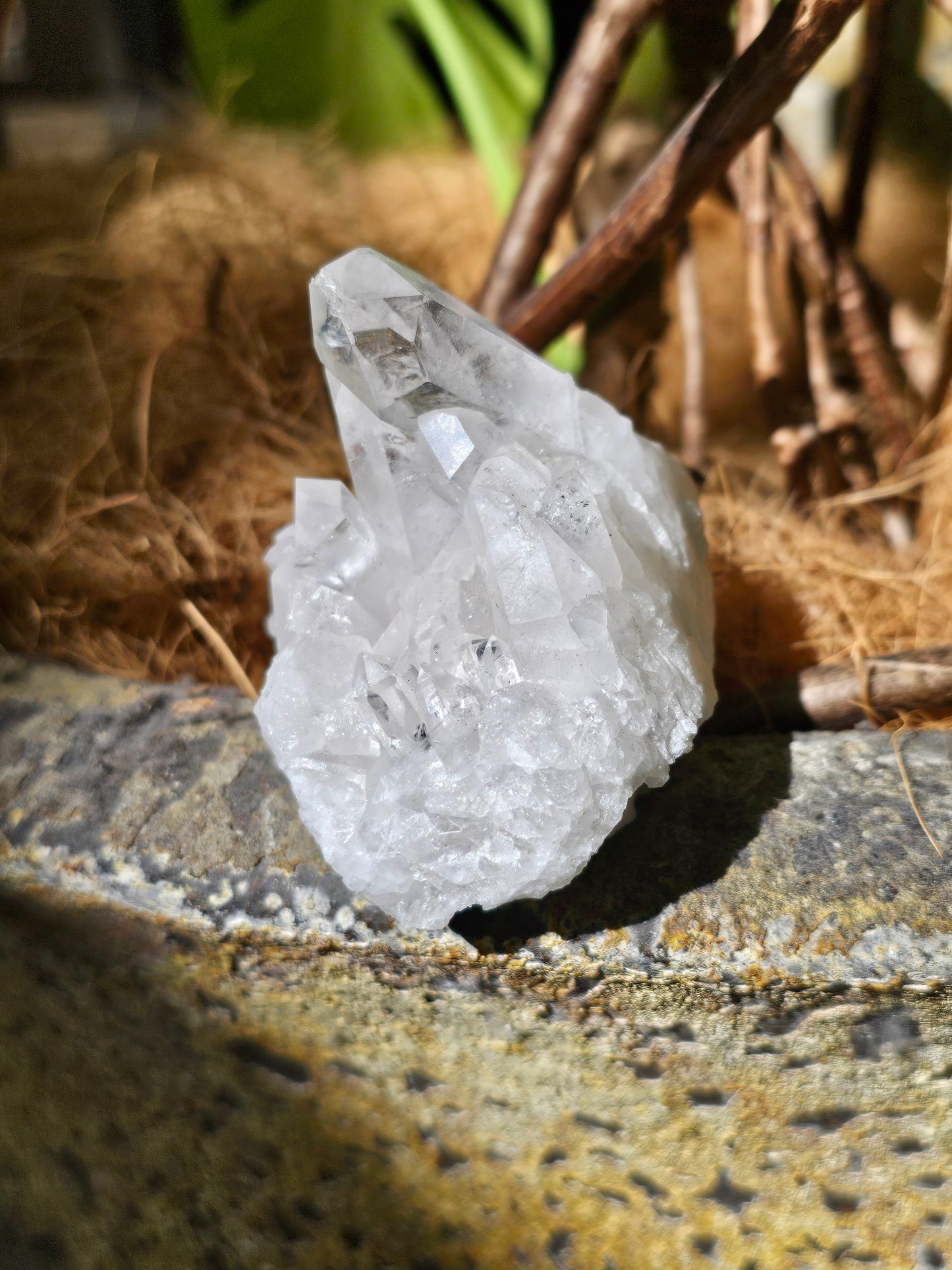 Clear Quartz Cluster