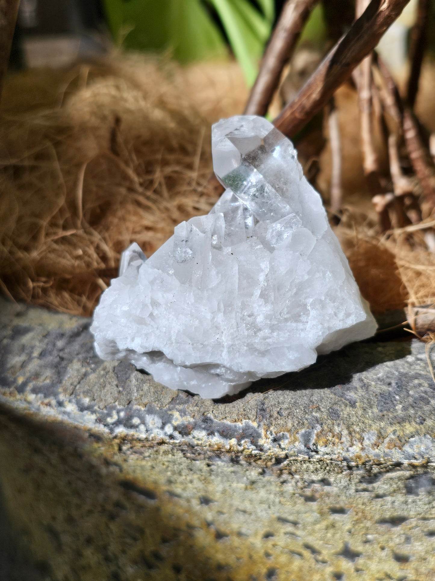 Clear Quartz Cluster