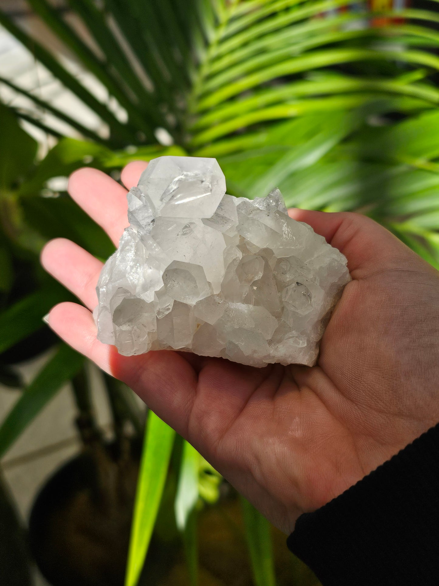 Clear Quartz Cluster