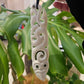 Manaia and Taniwha Large Bone Pendant with Paua - Rivendell Shop