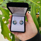 Paua Earrings - Closed Koru - Rivendell Shop