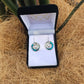 Paua Earrings - Closed Koru - Rivendell Shop