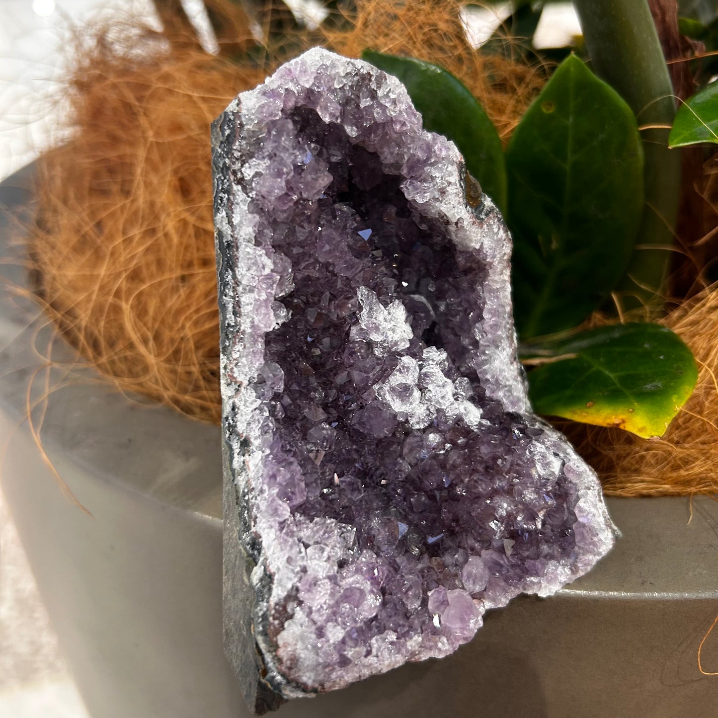 Standing amethyst