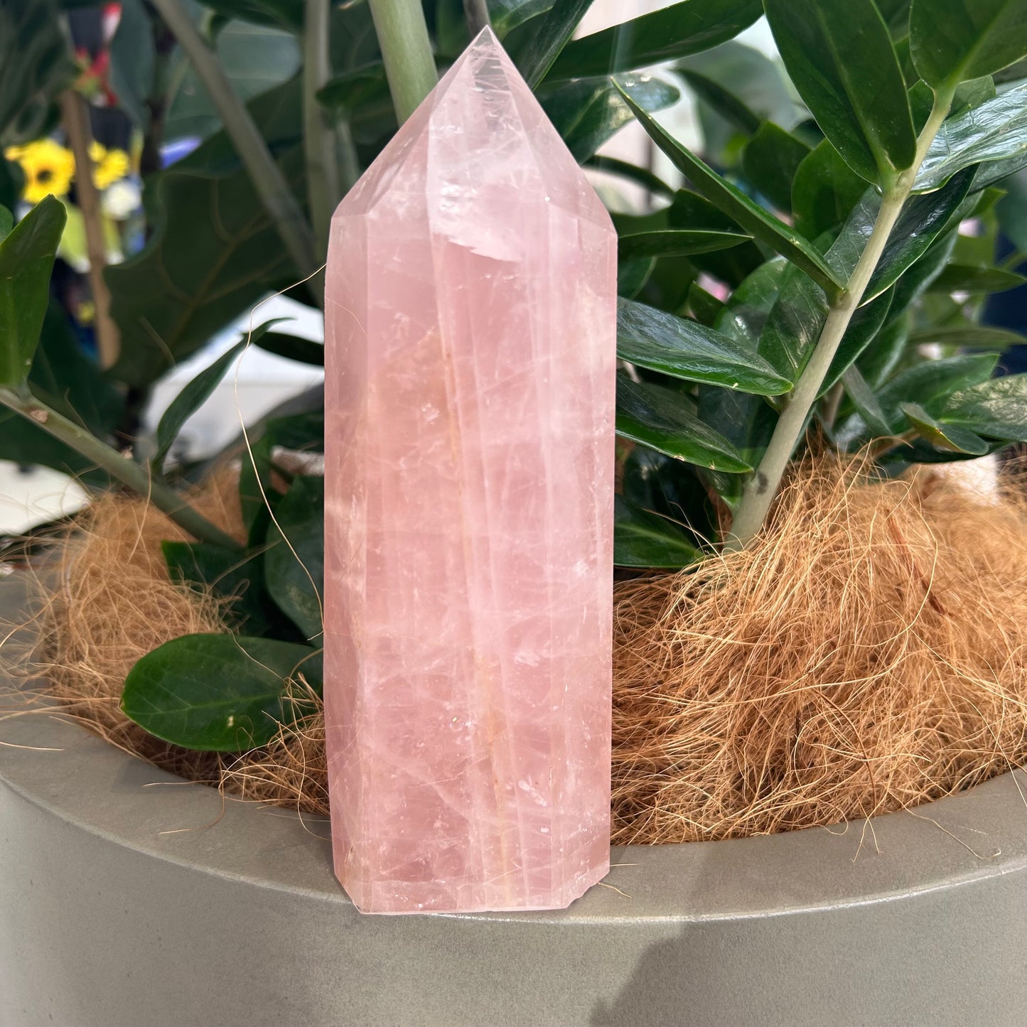 Rose Quartz Point