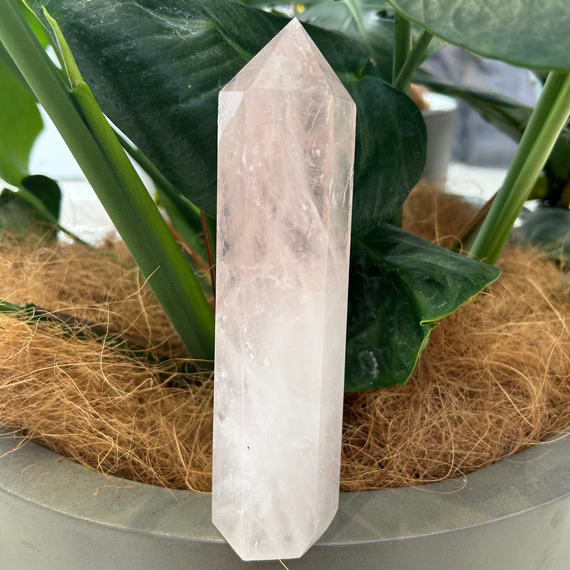 Rose Quartz Point - Rivendell Shop