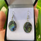 Paua Earrings - Large Oval - Rivendell Shop