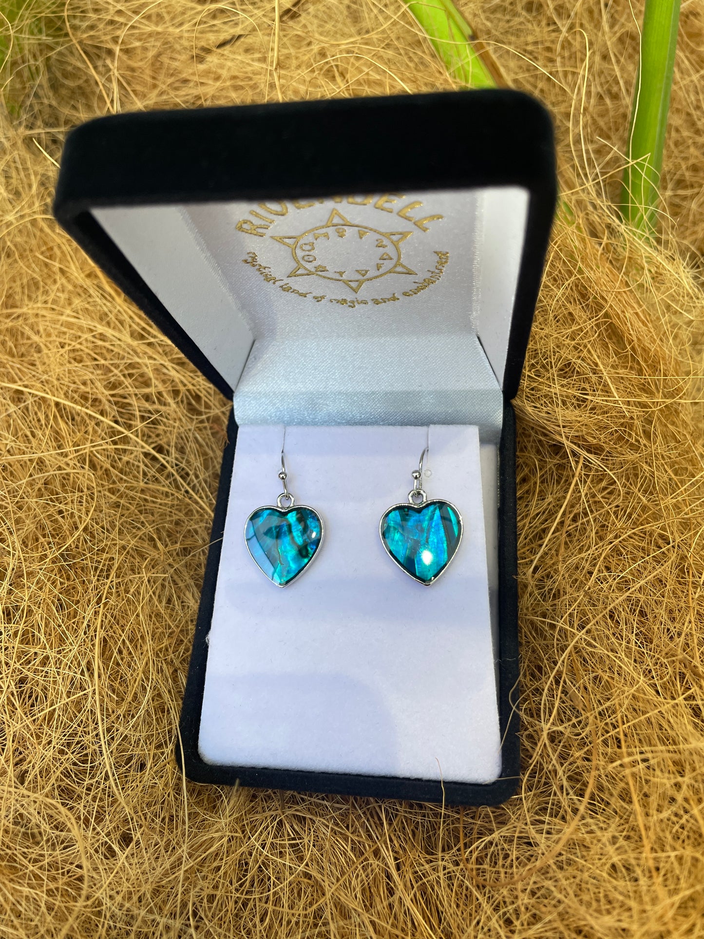 Paua Earrings - Heart