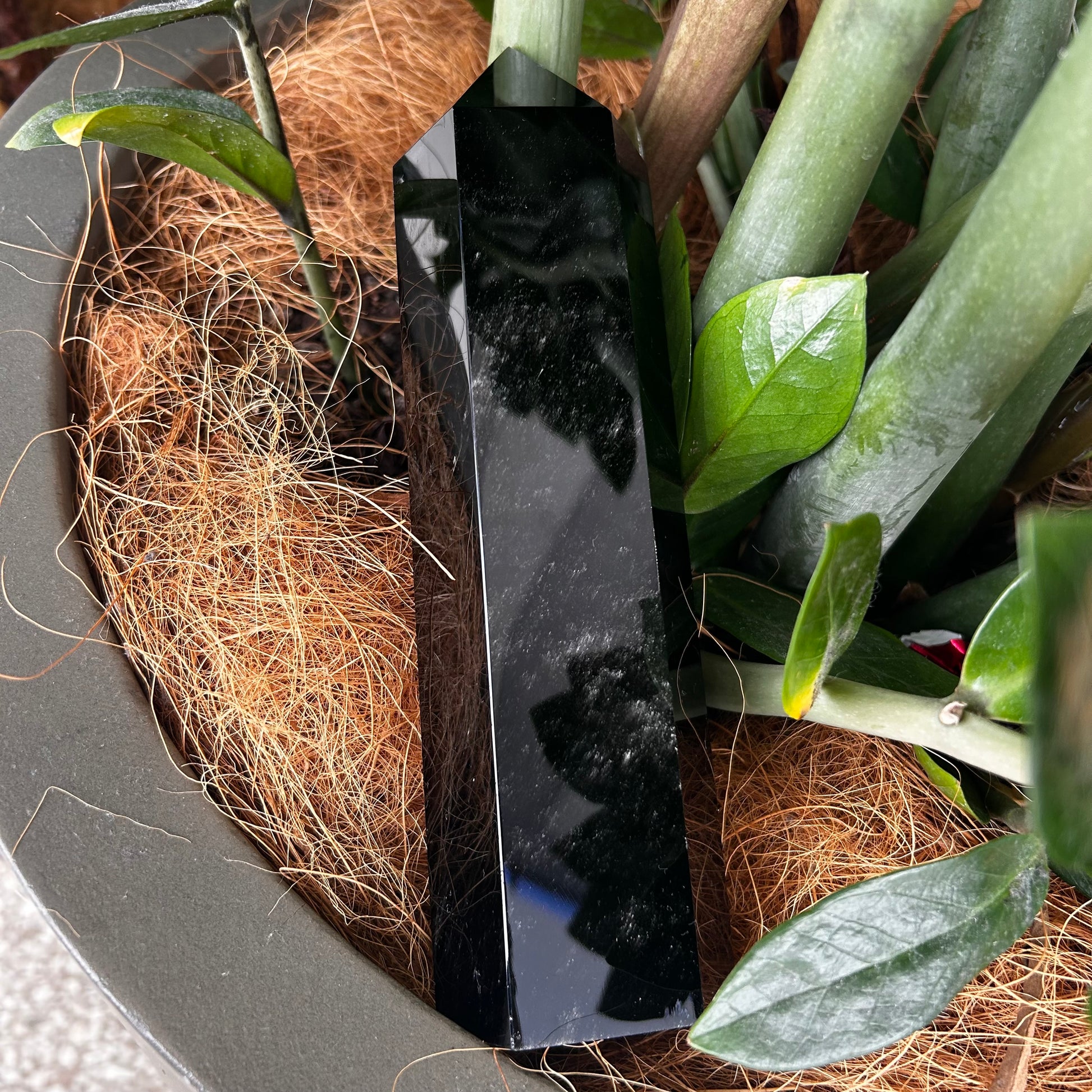 Black Obsidian Point - Rivendell Shop