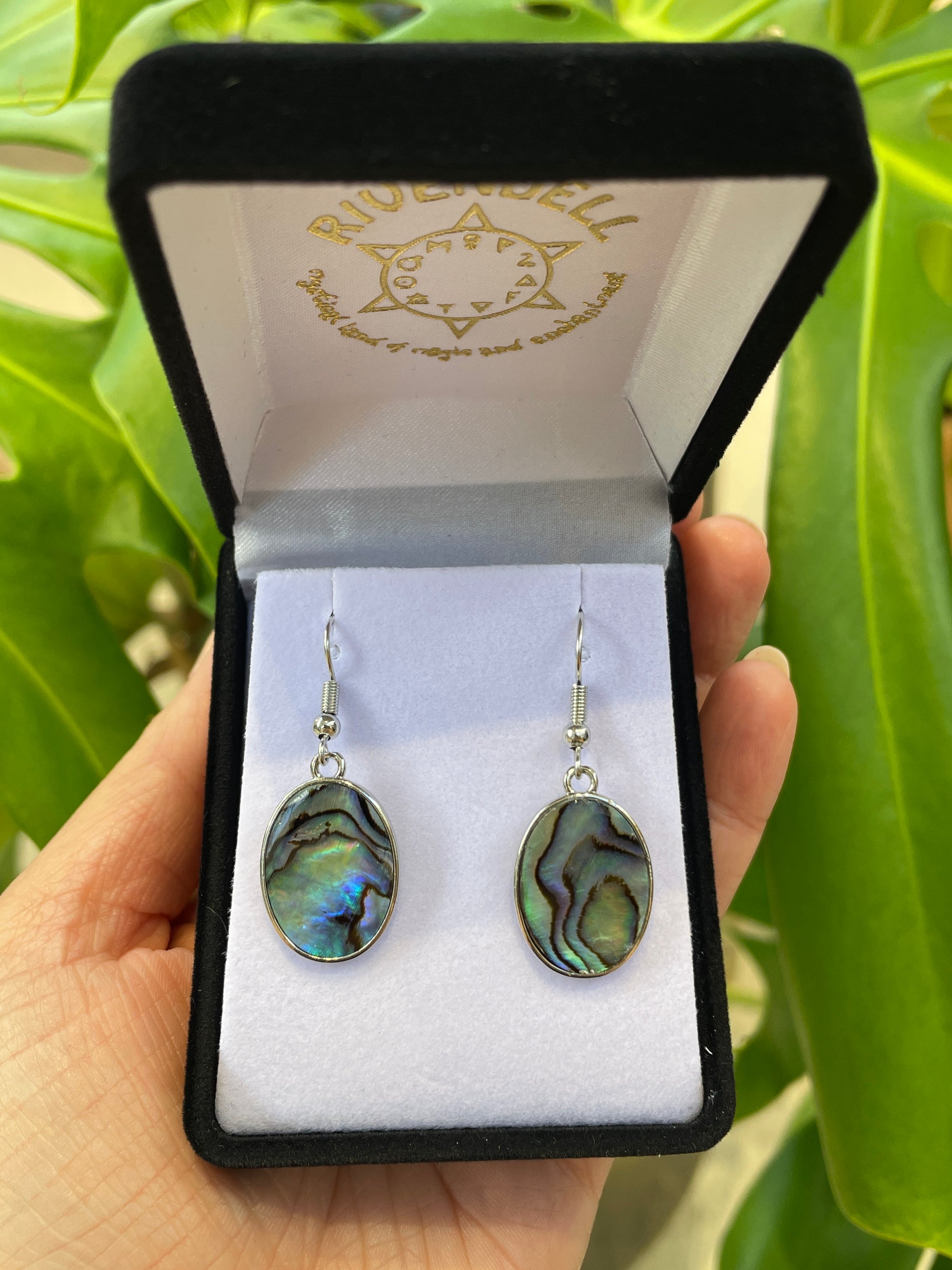 Paua Earrings - Large Oval - Rivendell Shop