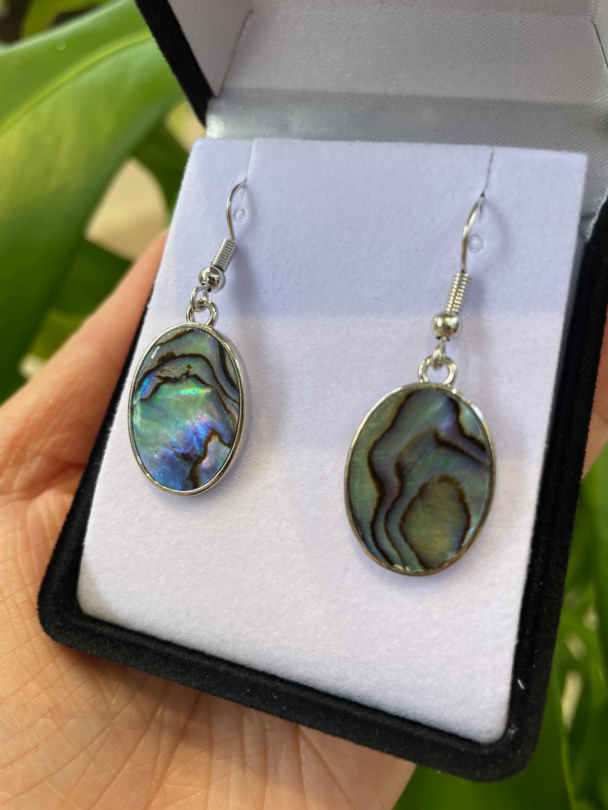 Paua Earrings - Large Oval - Rivendell Shop