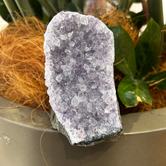 Standing amethyst