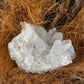 Clear Quartz Cluster - Rivendell Shop