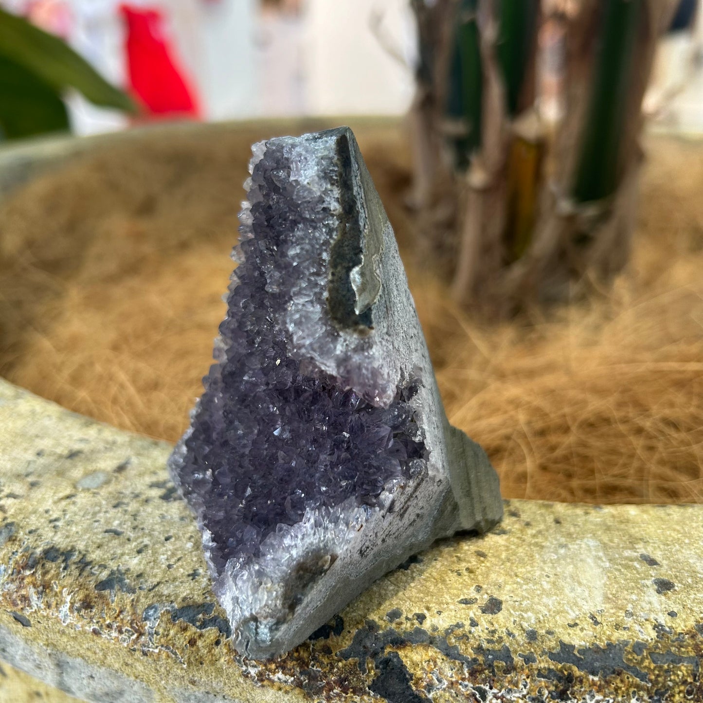 Amethyst Crystal Standing