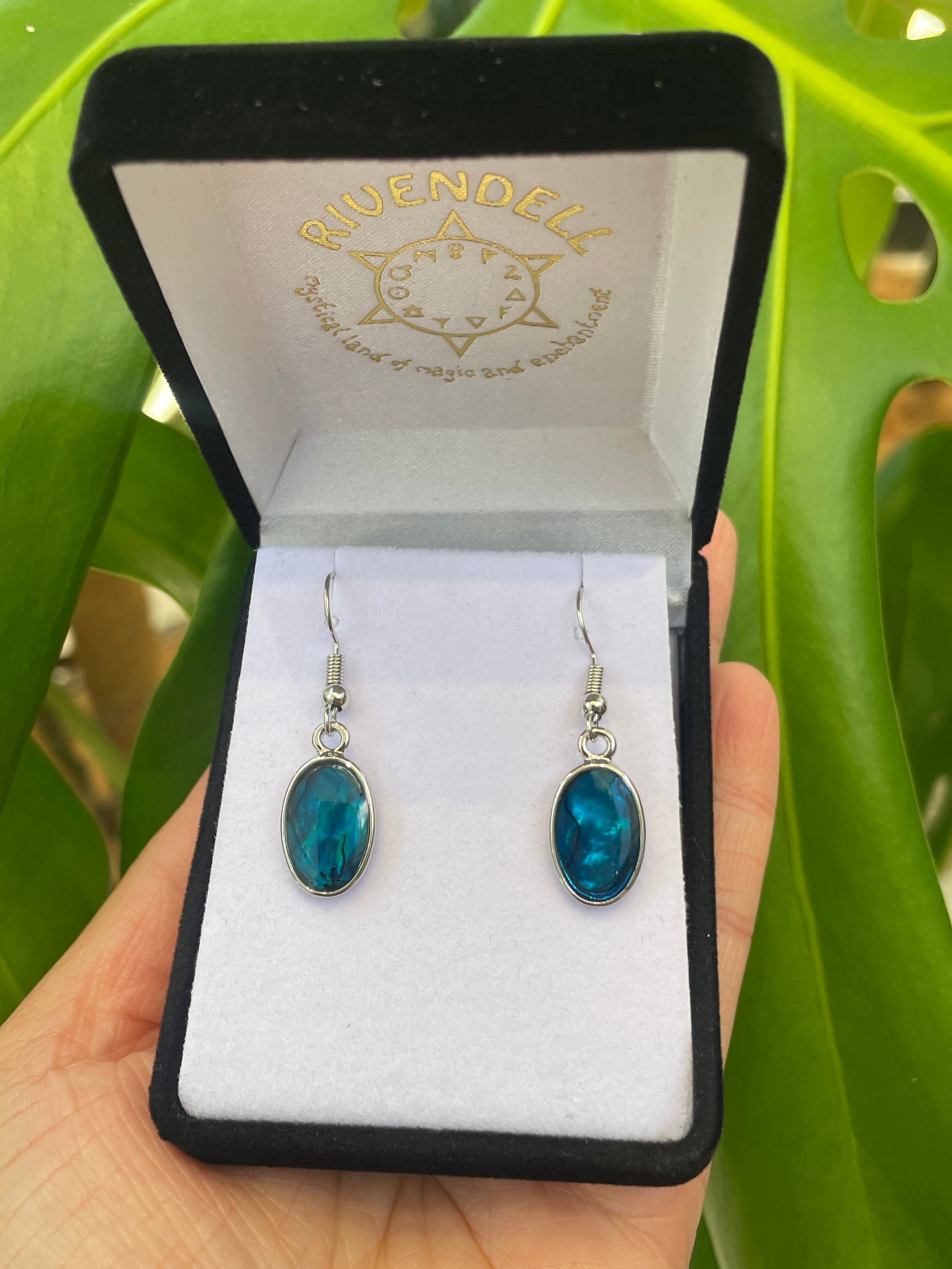 Paua Earrings - Oval - Rivendell Shop