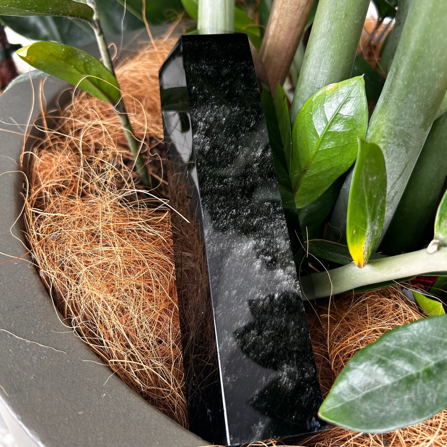 Black Obsidian Point - Rivendell Shop