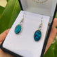 Paua Earrings - Oval - Rivendell Shop