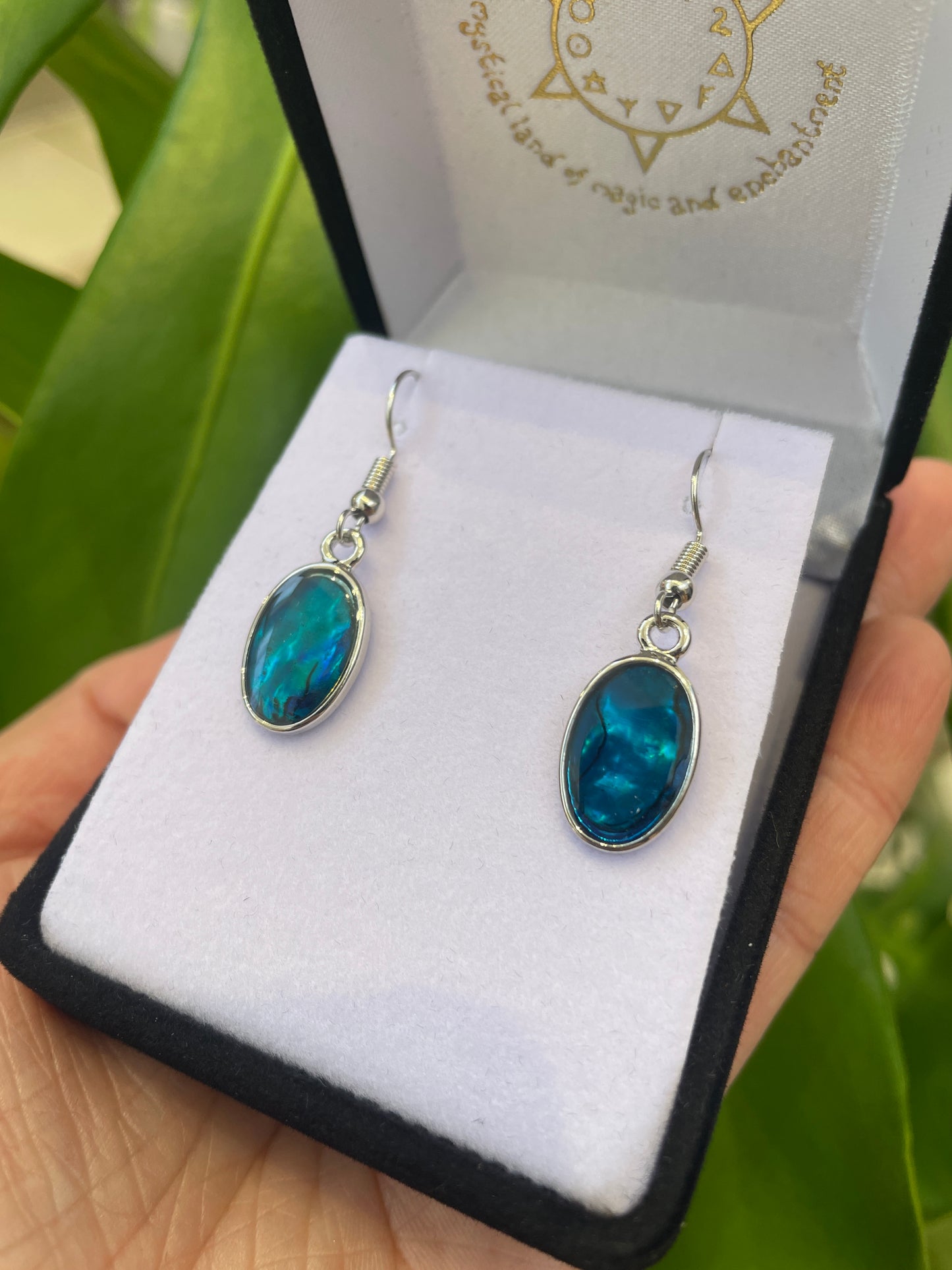 Paua Earrings - Oval - Rivendell Shop